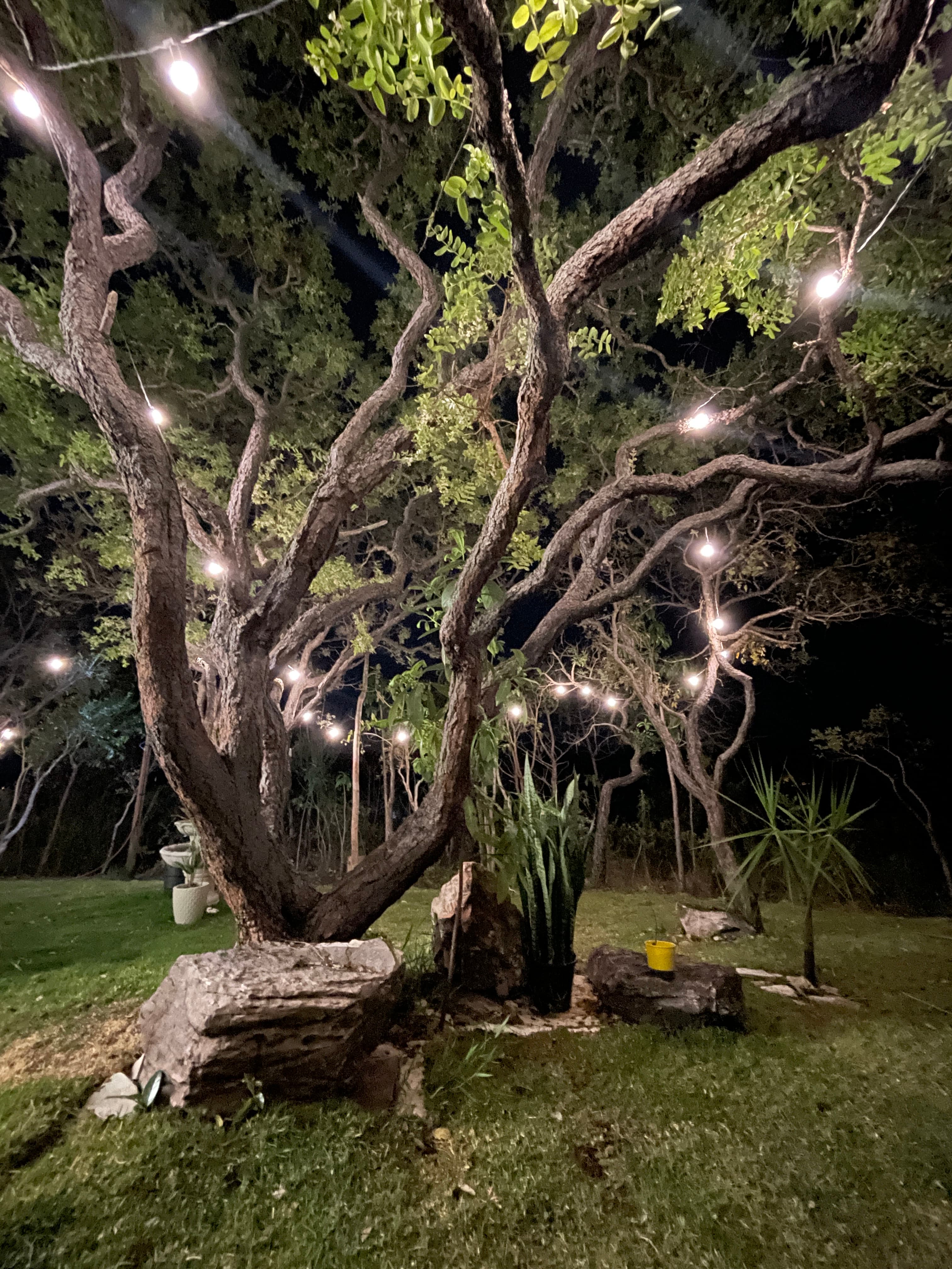 Área externa - Imagem 5