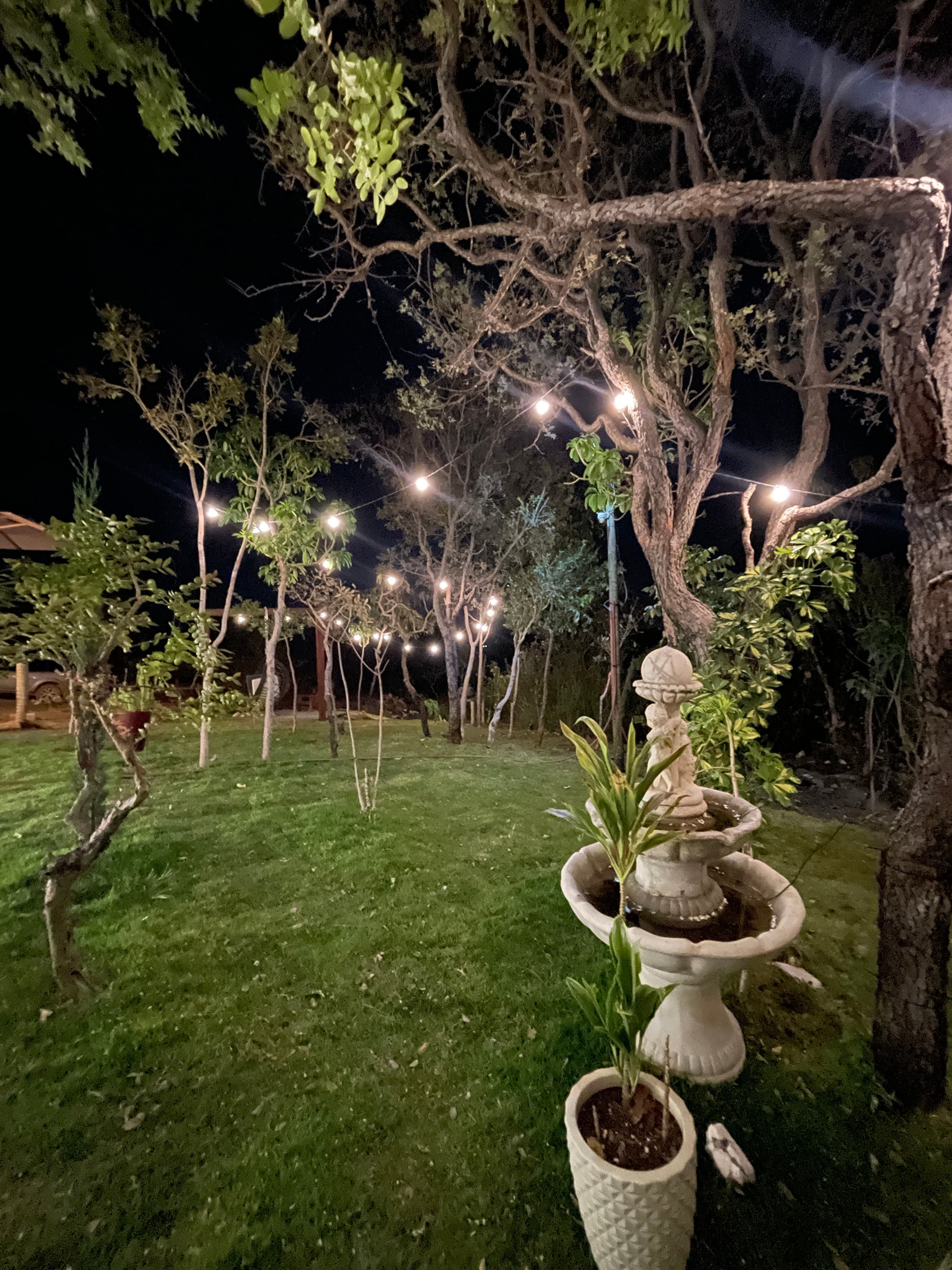 Área externa - Imagem 10