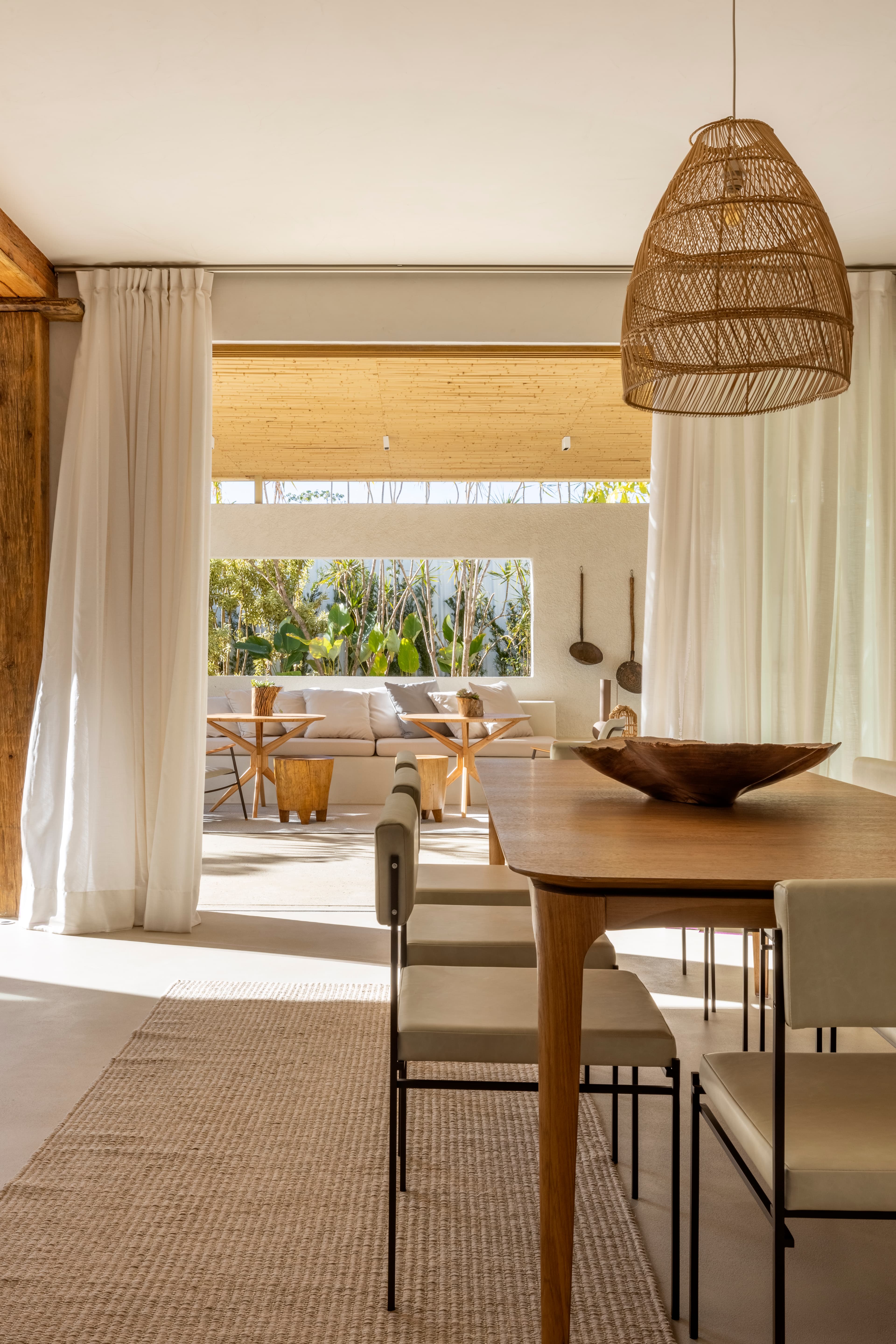 Capim Cidró - Foto 1