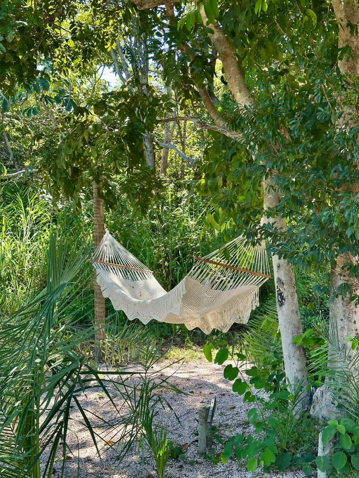 Área externa - Imagem 6