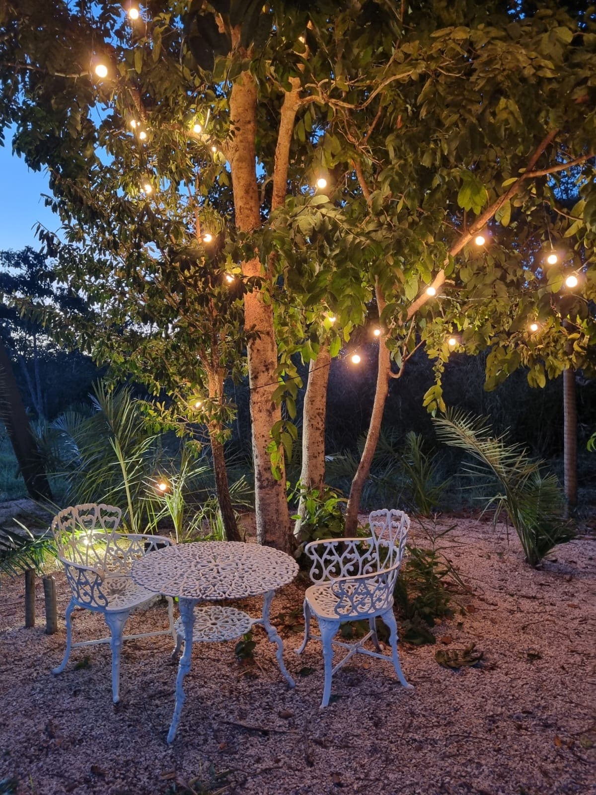 Área externa - Imagem 7