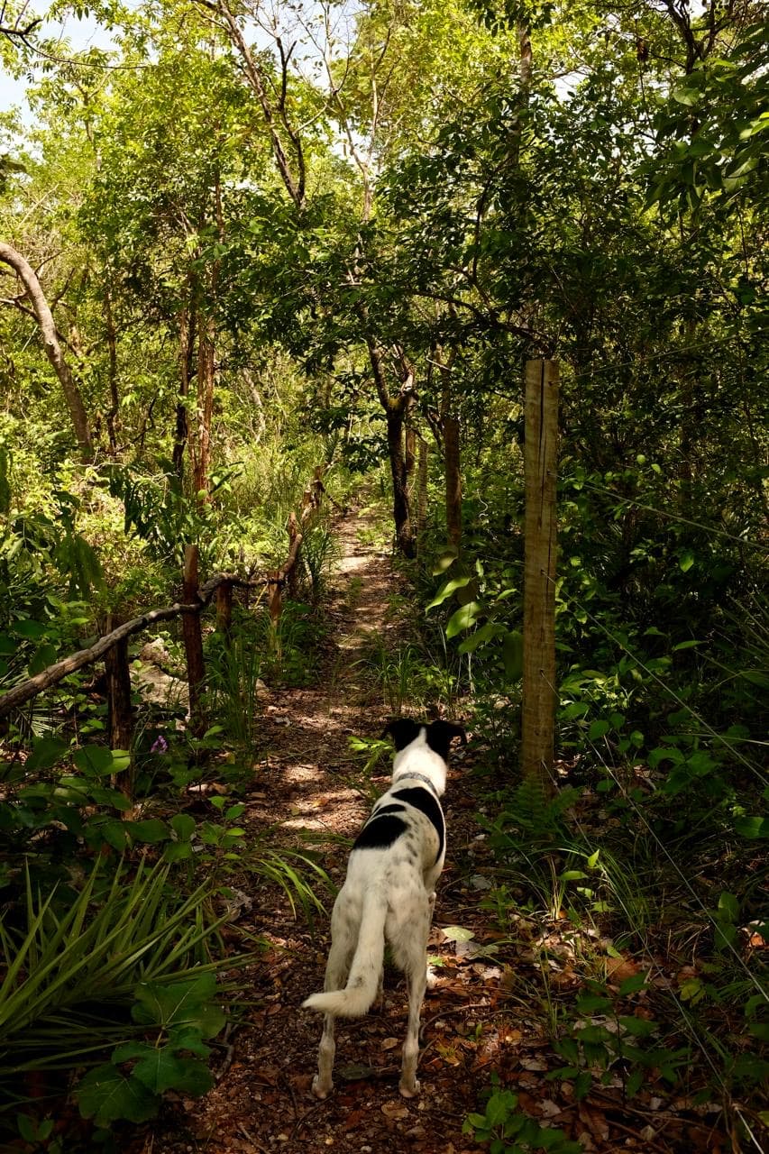 Área externa - Imagem 8