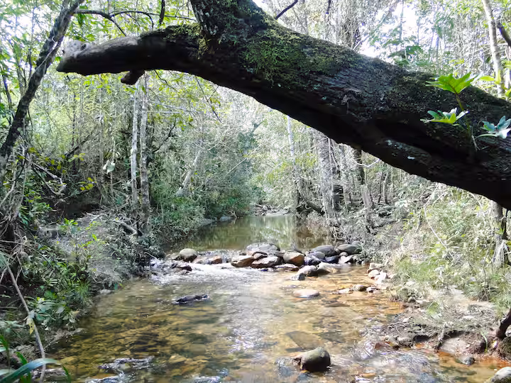 Villa Nirvana - Foto 6