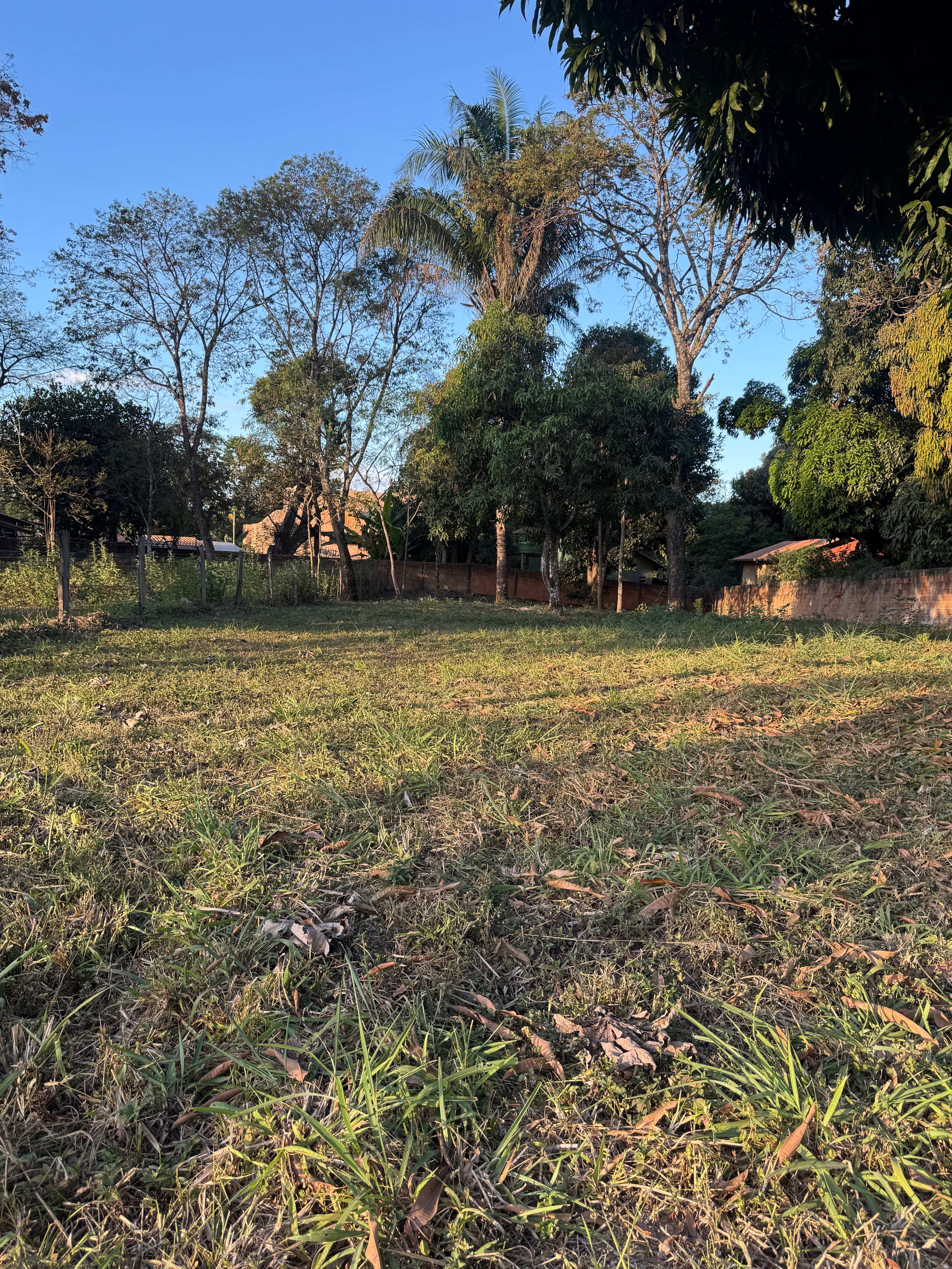Terreno a 30m da Av. Ary Valadão - Foto 3