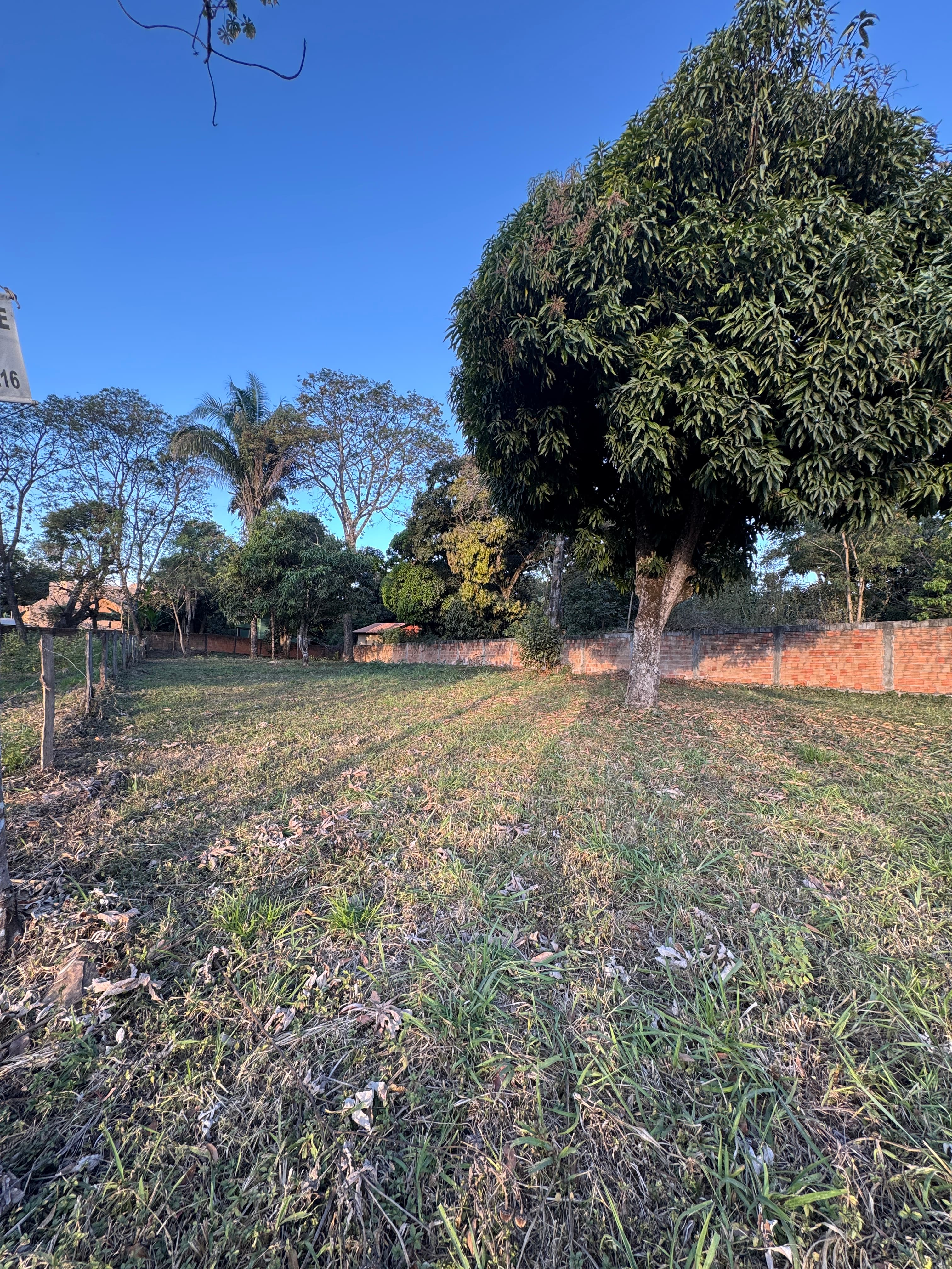 Terreno a 30m da Av. Ary Valadão - Foto 5