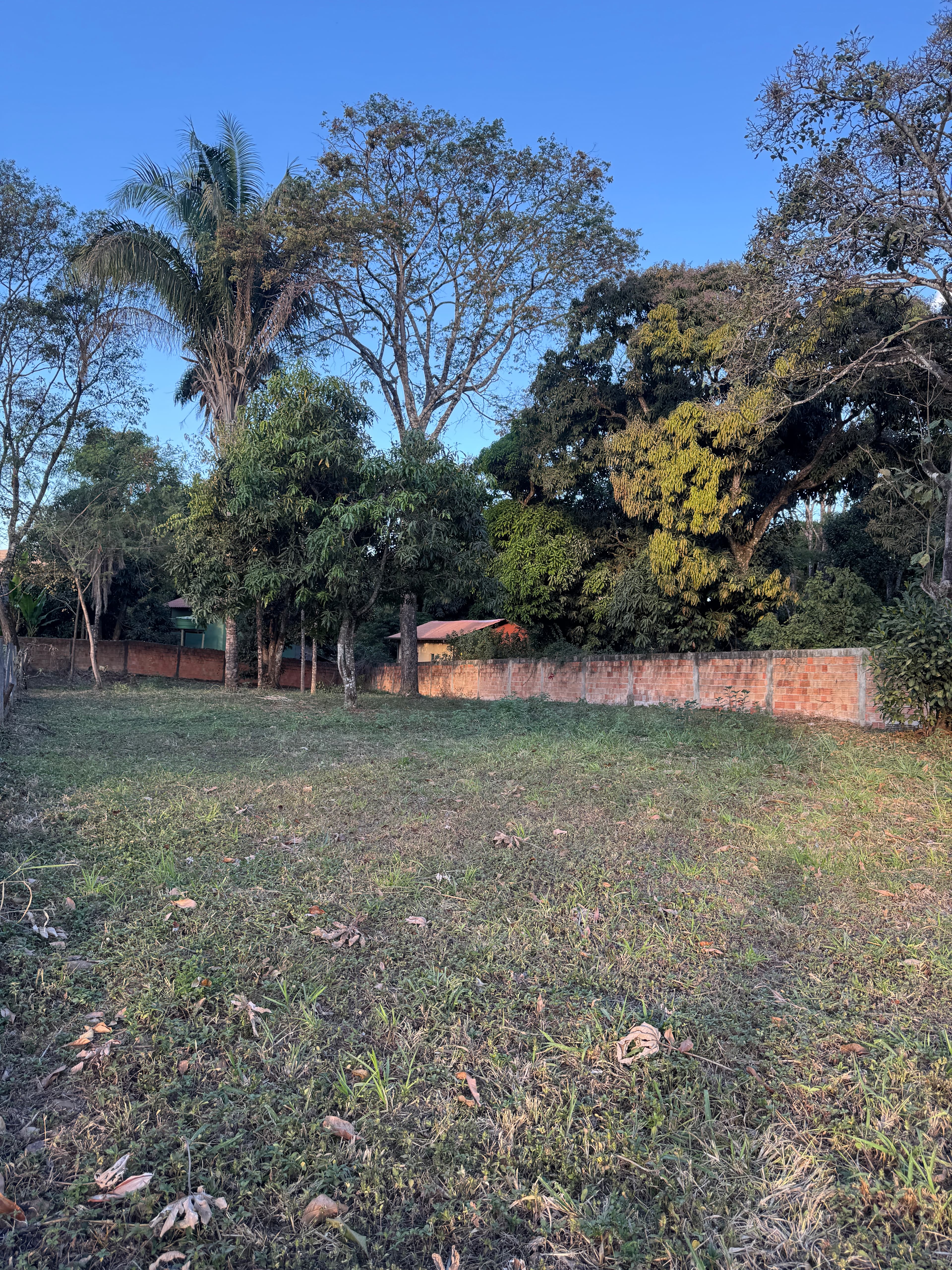 Terreno a 30m da Av. Ary Valadão - Foto 9