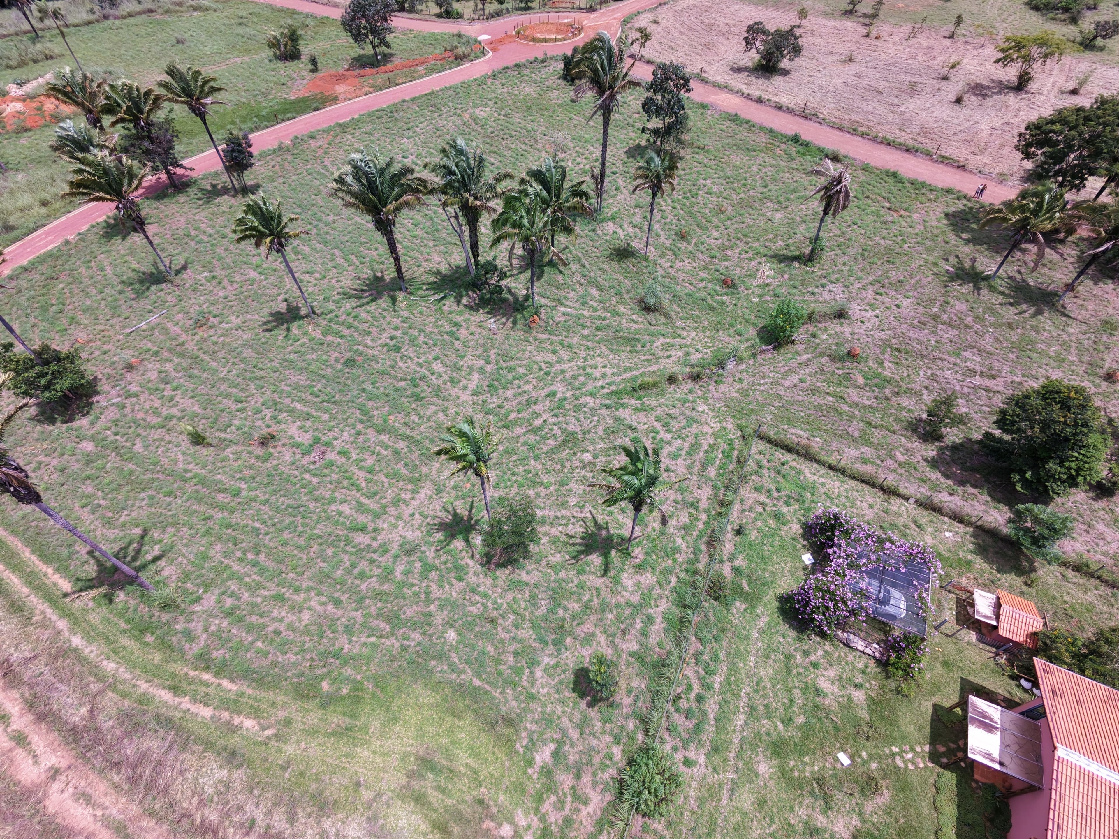 Oásis Gaia - Foto 4