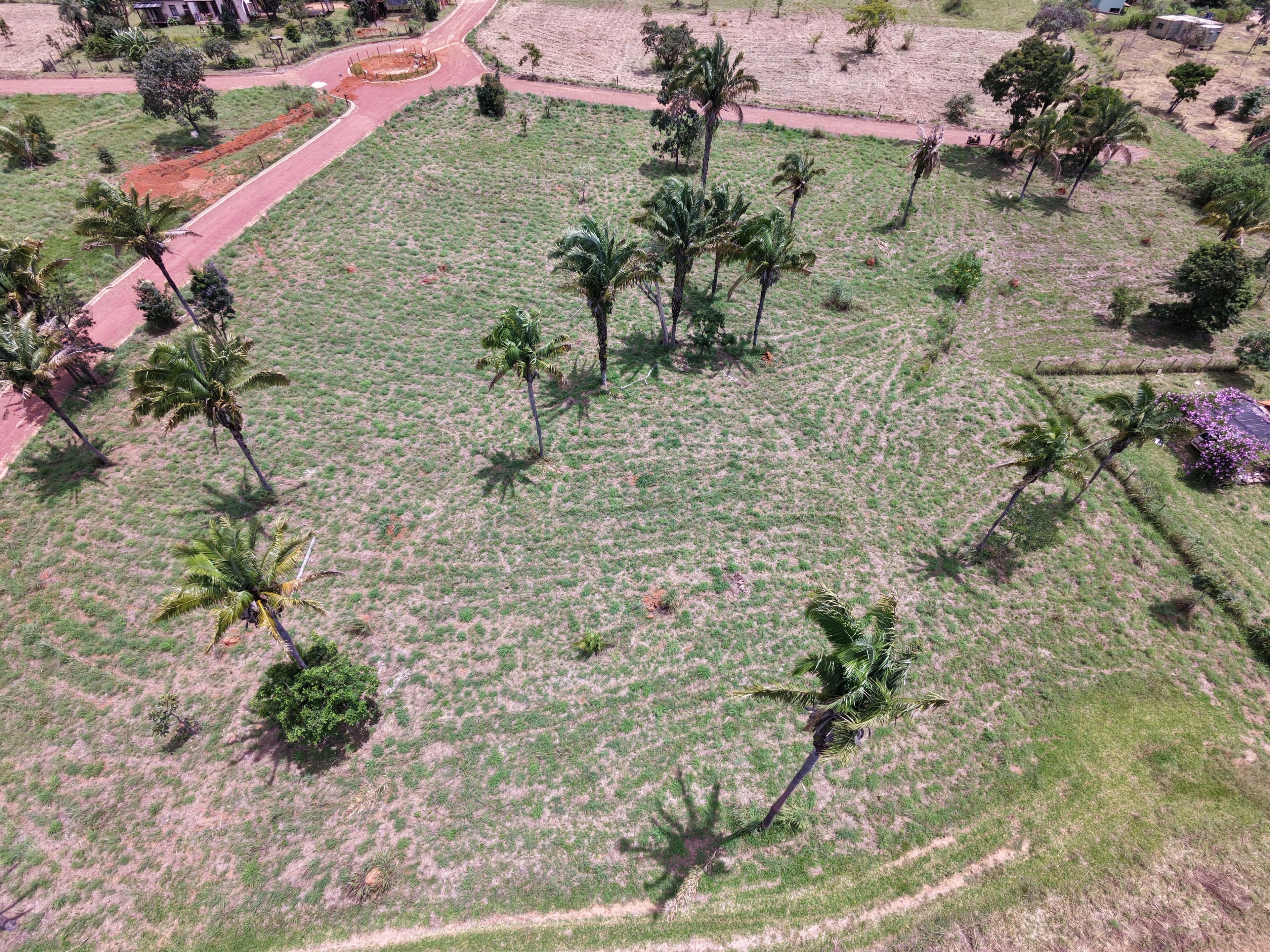 Oásis Gaia - Foto 5