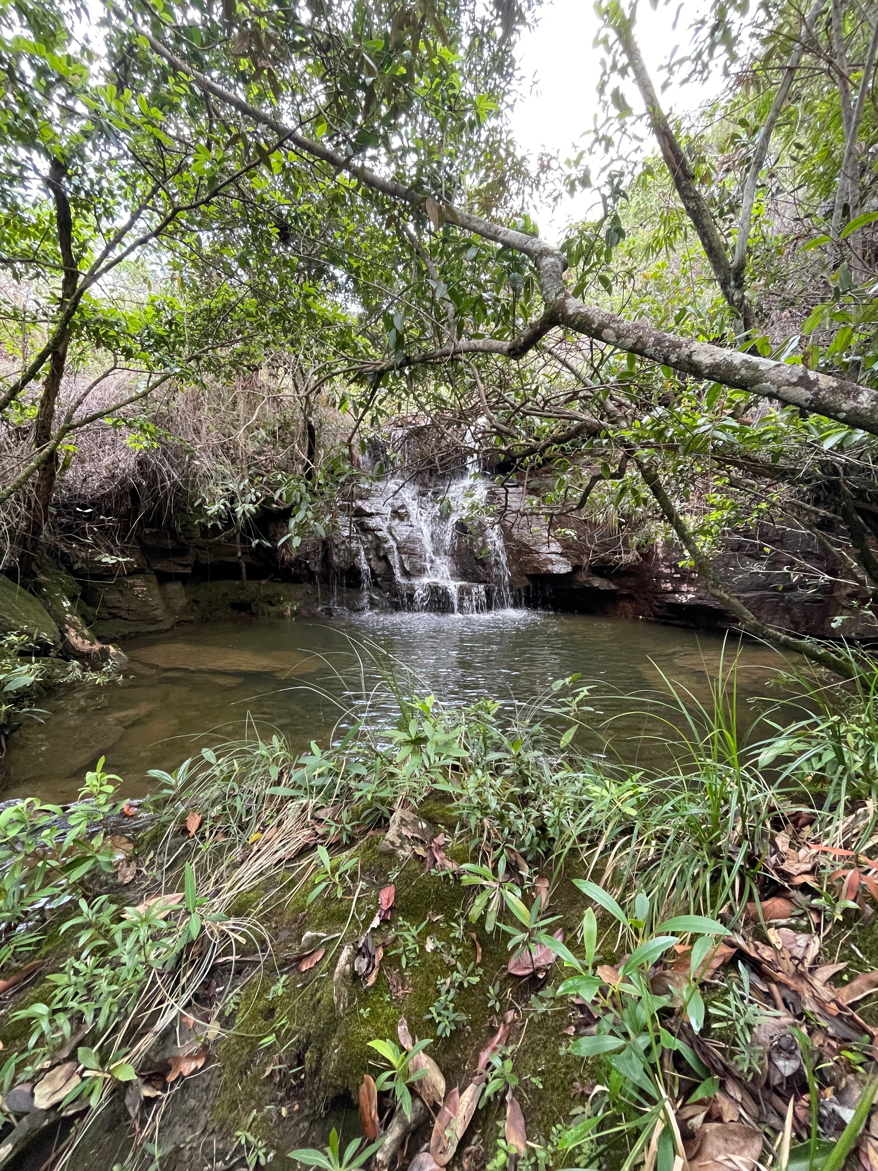 Serra da Baliza - Foto 2